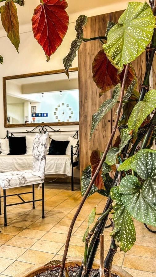 Central 9 Rooms エルムポリ エクステリア 写真